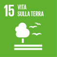 Vita sulla Terra