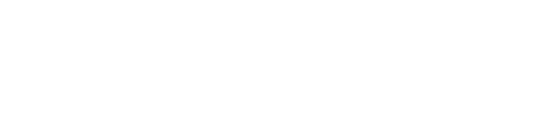 Trapuntatura Belpunto