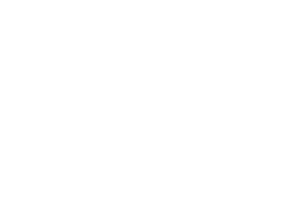 Audasit